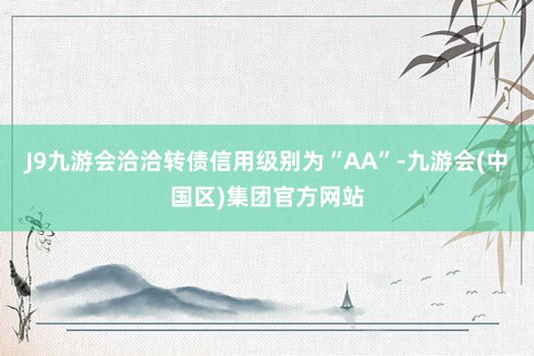 J9九游会洽洽转债信用级别为“AA”-九游会(中国区)集团官方网站