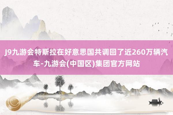 J9九游会特斯拉在好意思国共调回了近260万辆汽车-九游会(中国区)集团官方网站